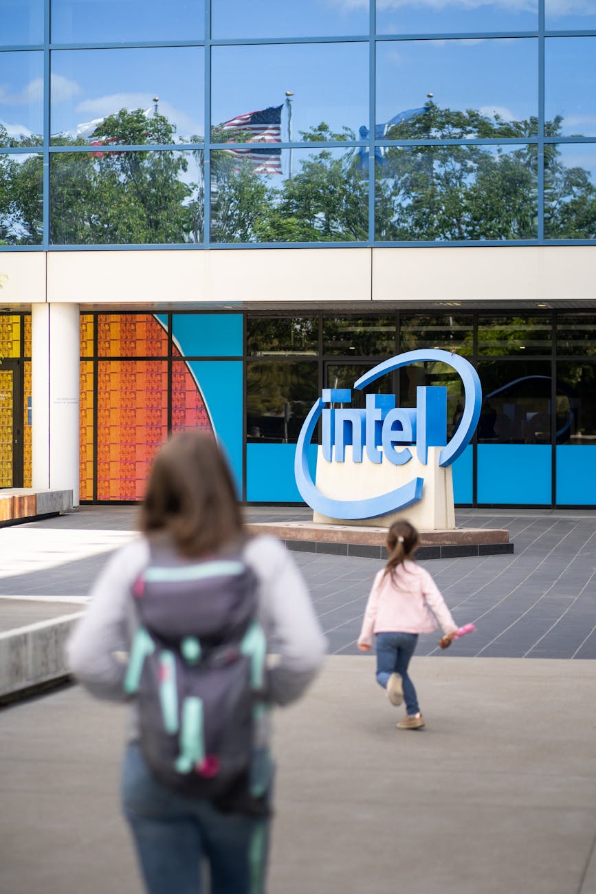 CRISIS EN INTEL